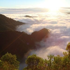 Meet your Posher, Billy